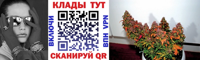 Купить наркоту Конаково ГАШИШ Cocaine МЕФ Конопля